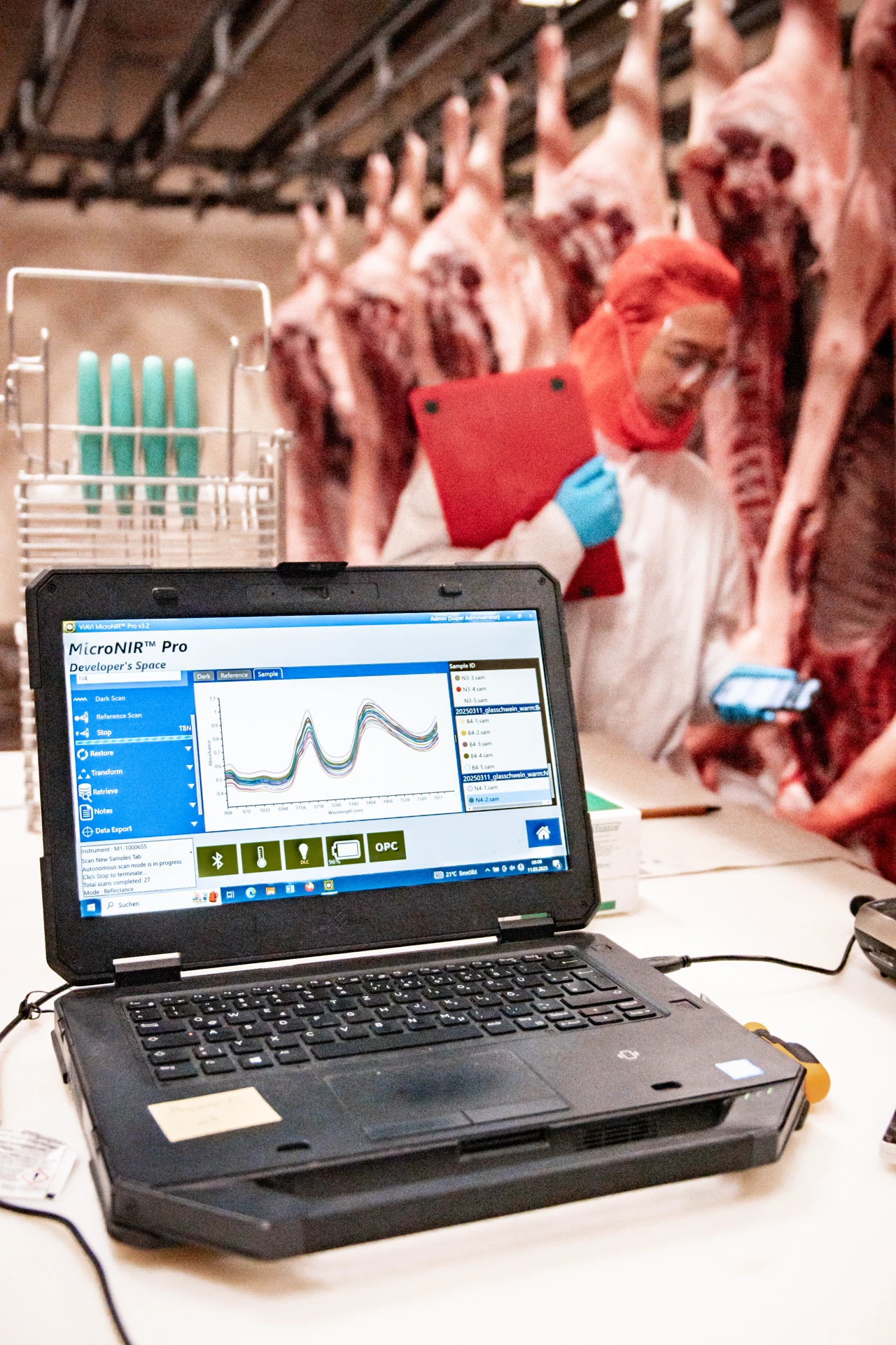 Fachpersonal bei Fleischprüfung im Schlachthof, Schweinehälften, Hygienekleidung, Qualitätskontrolle.