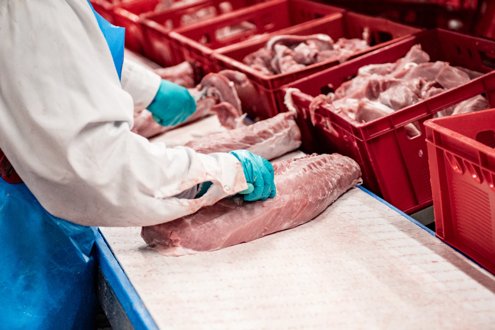 Zuschnitt von Schweinerücken auf Arbeitstisch, Fleischverarbeitung, rohes Schweinefleisch, Produktionsumgebung.
