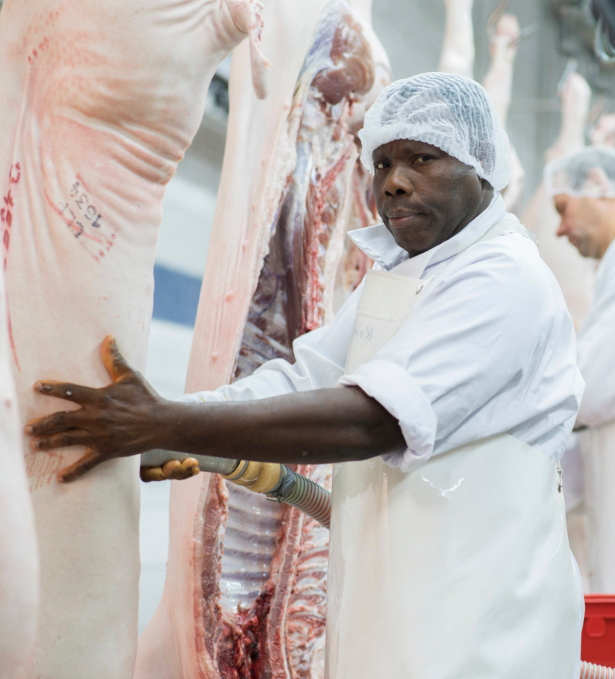 Mitarbeiter bei Fleischkontrolle an Schweinehälfte, Schlachthof, Hygienekleidung, Qualitätsprüfung.